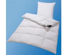 Set: Daunenbettdecken + Kopfkissen Hanse by Ribeco Lea Normal 90% Daunen 10% Federn (+ 2 Gratis-Nackenrollen), Normal