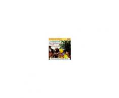 Ingeborg Feustel - Das Flattergespenst in der Gartenlaube, 1 Audio-CD