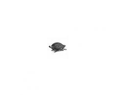 Weber Elektrogrill Q 2400, dark grey Dark Grey