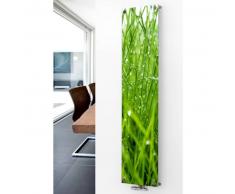 XIMAX Paneelheizkörper Raumheizkörper P1G mit Mittenanschluss Glas mit Wunschbild1800x520x63 mm, 720 Watt / P2 (Wasser 1)