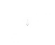 SCHOTT ZWIESEL Weisswein-Dekanter Pure 750ml
