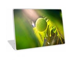 Ulu Obstbaum Laptop Skin