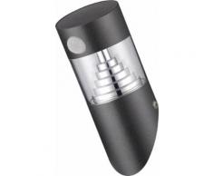 Solar-Wandstrahler mit Bewegun (0.25W, 100lm, IP44)
