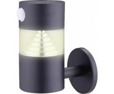 Solar-Wandstrahler mit Bewegun (0.25W, 100lm, IP44)