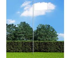 vidaXL Fahnenmast Aluminium 6,2 m