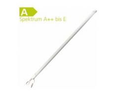 Green Power LED Lichtleiste 60 cm 123 SMD