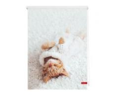 Seitenzugrollo Klemmfix Digital Sleepy Cat, LICHTBLICK, verdunkelnd, ohne Bohren, freihängend weiß Kinder Kinderzimmer-Rollos Rollos Jalousien Rollo