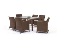 Polyrattan Essgruppe Meetos 6 - nussbraun - Polyrattan Gartenmöbel Dining Set in Nussbraun