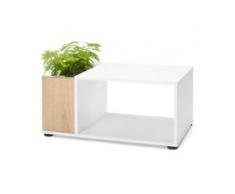 Bepflanzbarer Couchtisch