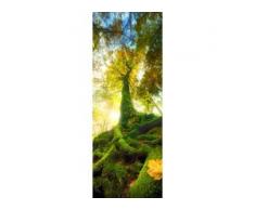 Deco-Glas Bild - Green Tree 80 x 30 cm