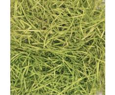 Ostergras, hellgrün, 100 g