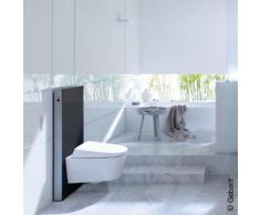 Geberit Monolith Sanitärmodul für Wand-WC H: 101 cm, Glas schwarz 131022SJ5