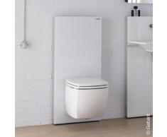 Geberit Monolith Plus Sanitärmodul für Wand-WC H: 114 cm, Glas weiß 131231SI5, EEK: A+