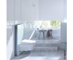 Geberit Monolith Sanitärmodul für Wand-WC H: 101 cm, Glas mint 131022SL5