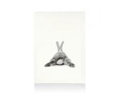 Leinwandbild Hase, IMPRESSIONEN