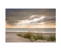 Papermoon Fototapete »Dunes in Winter«, glatt
