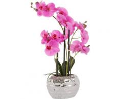 Kunstpflanze »Orchidee« Orchidee, Leonique, Höhe 55 cm