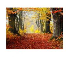 Fototapete »Autumn Forest Path«, glatt