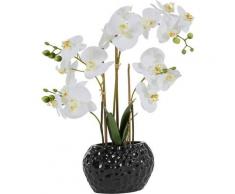 Kunstpflanze »Orchidee« Orchidee, Leonique, Höhe 55 cm