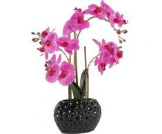 Kunstpflanze »Orchidee« Orchidee, Leonique, Höhe 55 cm