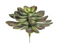 Kunstpflanze »Echeveria XXL« Sukkulente, Creativ green, Höhe 29 cm