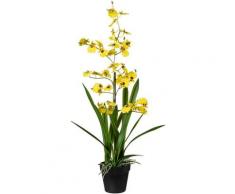 Kunstpflanze Orchidee, Creativ green, Höhe 75 cm