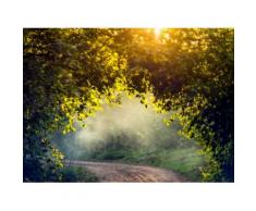 Fototapete »Misty Forest in Spring«, glatt