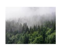 living walls Fototapete »Designwalls Foggy Fir Trees«, glatt, (5 St), Fototapete Wald Nebel FoggyFirTrees 3,50 m x 2,55 m Grün Weiß auf 170 g Vlies Tapete Landschaft Nebel