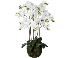 Kunstpflanze Orchidee, Creativ green, Höhe 95 cm