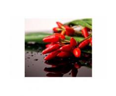 Wall-Art Herd-Abdeckplatte »Chili Glasbild Exotische Schärfe«, Glas, (1 tlg)