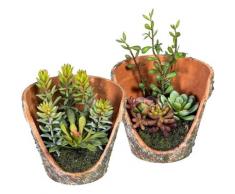 Kunstpflanze »Henrike« Sukkulente, DELAVITA, Höhe 12 cm, im Topf, Tontopfoptik, 2er Set
