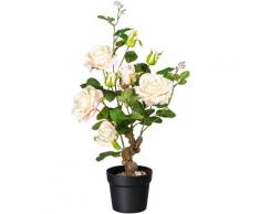 Kunstpflanze »Rose«, Creativ green, Höhe 65 cm