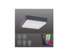 Paul Neuhaus LED Außen-Deckenleuchte »Q - LENNY«, Smart Home, RGB+W, FB, dimmbar, IP65, Quadrat