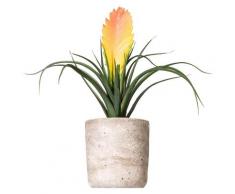 Kunstpflanze »Tillandsie Soledo«, Creativ green, Höhe 29 cm