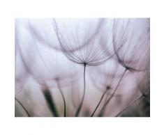 Fototapete »Purple Abstract Dandelion«, glatt