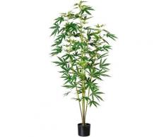 Künstliche Zimmerpflanze »Zierhanfpflanze« Zierhanf, Creativ green, Höhe 150 cm