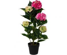 Kunstpflanze »Hortensie«, Creativ green, Höhe 92 cm, im Kunststofftopf