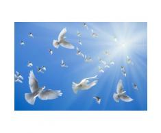 Fototapete »White Doves«, glatt