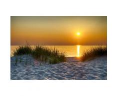 Papermoon Fototapete »Dunes Lake Michigan«, glatt