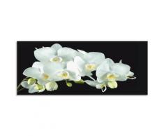 Artland Küchenrückwand »Weiße Orchidee auf schwarzem Hintergrund«, (1-tlg), selbstklebend in vielen Größen - Spritzschutz Küche hinter Herd u. Spüle als Wandschutz vor Fett, Wasser u. Schmutz - Rückwand, Wandverkleidung aus Alu