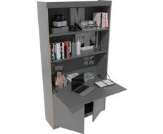 Müller SMALL LIVING Sekretär »FLAI Home-Office groß«, wahlweise mit drei verschiedenen Rückwänden: Melamin, magnetisch oder mit 6mm dickem Bulletin Board aus Linoleum für Heftzwecken und Pinnadeln