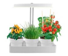 Northpoint Pflanzenlampe