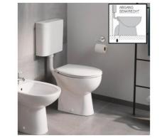 Grohe Tiefspül-WC »Bau Keramik«, spülrandlos