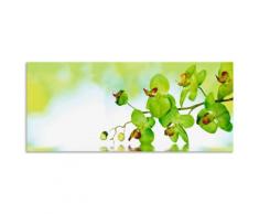 Artland Küchenrückwand »Schöne Orchidee mit grünem Hintergrund«, (1-tlg), selbstklebend in vielen Größen - Spritzschutz Küche hinter Herd u. Spüle als Wandschutz vor Fett, Wasser u. Schmutz - Rückwand, Wandverkleidung aus Alu