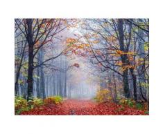 Fototapete »Foggy Autumn Forest Road«, glatt