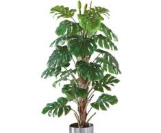 Kunstpflanze »Philo-Baum«, Schneider, Höhe 180 cm