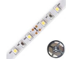 EVN Lichttechnik LED-Strip SB5424302840