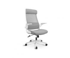 MELOKEA Ergonomischer Chefsessel/Bürostuhl Miami (grau)