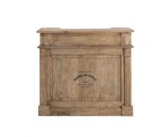 Taste of India Unikat-Barschrank