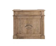 Taste of India Unikat-Barschrank Barschrank 13